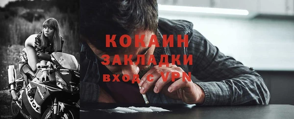 хмурый Инта