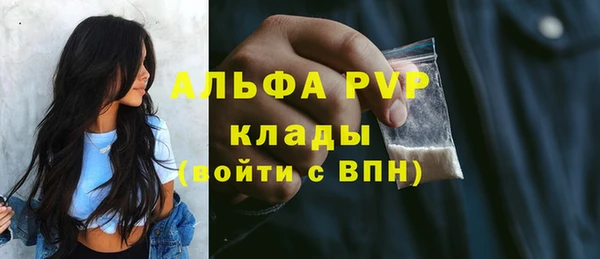 хмурый Инта