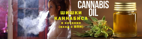 ГАЛЛЮЦИНОГЕННЫЕ ГРИБЫ Иннополис