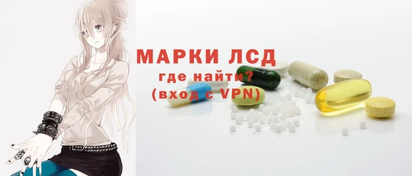 хмурый Инта