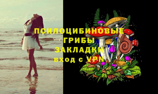 ГАЛЛЮЦИНОГЕННЫЕ ГРИБЫ Иннополис