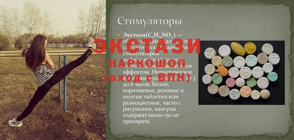 хмурый Инта