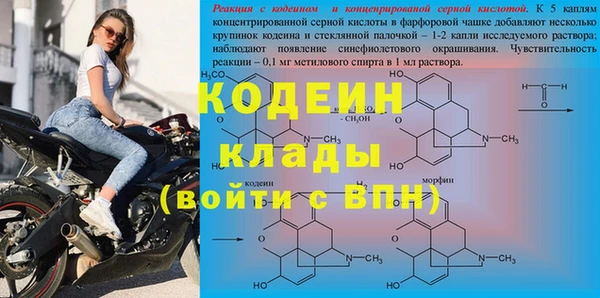 хмурый Инта
