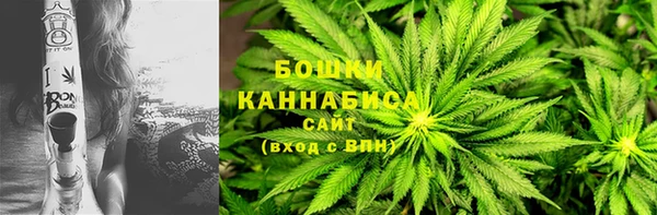 ГАЛЛЮЦИНОГЕННЫЕ ГРИБЫ Иннополис