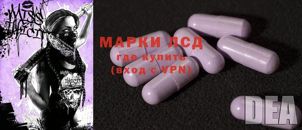 хмурый Инта