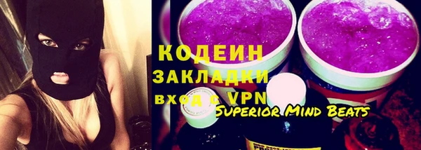 хмурый Инта