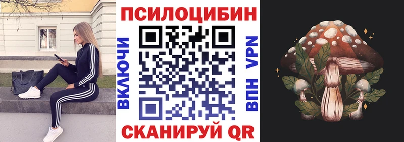 Галлюциногенные грибы Psilocybine cubensis  Купить закладки  Княгинино 