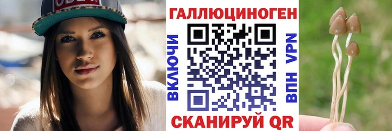 Псилоцибиновые грибы MAGIC MUSHROOMS Княгинино